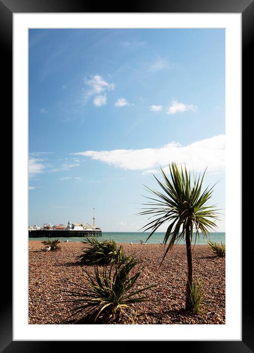Brighton Sea Front and Palace Pier Framed Mounted Print by Neil Overy