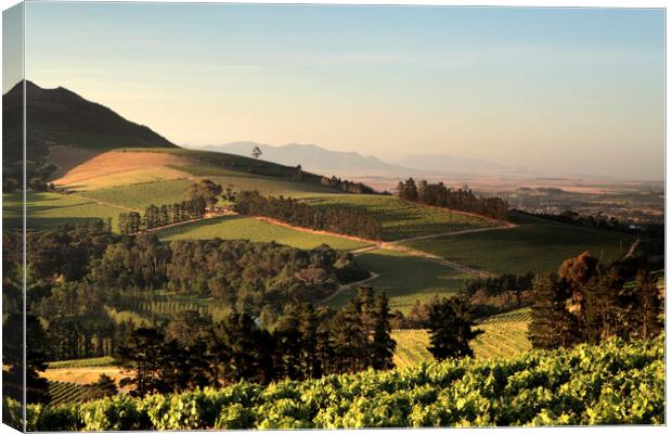 Scenic Landscape of winelands near Stellenbosch, S Canvas Print by Neil Overy