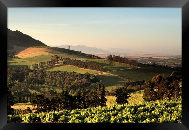 Scenic Landscape of winelands near Stellenbosch, S Framed Print by Neil Overy