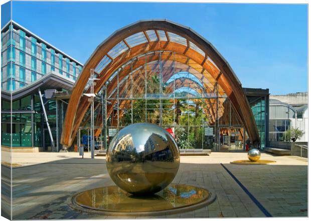 Sheffield Winter Gardens Canvas Print by Darren Galpin