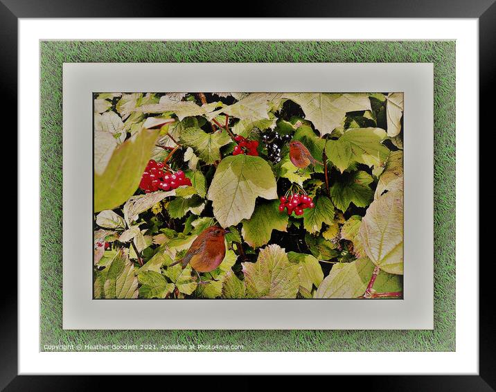 Picture for the Birds Framed Mounted Print by Heather Goodwin