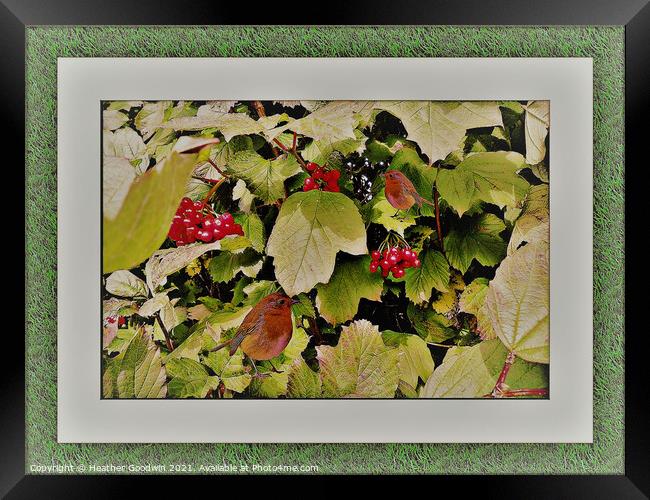 Picture for the Birds Framed Print by Heather Goodwin