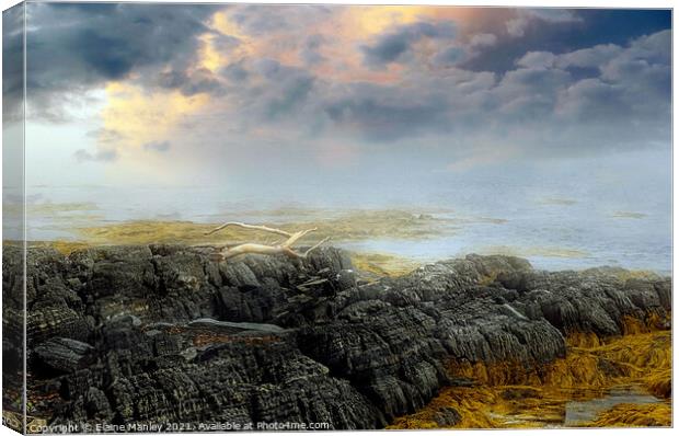 Atlantic Ocean Landscape   Cape Breton Canada  Canvas Print by Elaine Manley