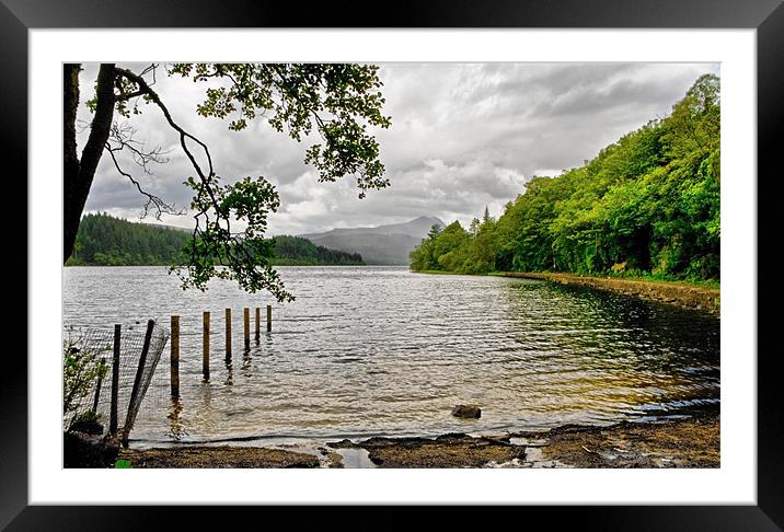 Looking Down Loch Ard Framed Mounted Print by Jacqi Elmslie