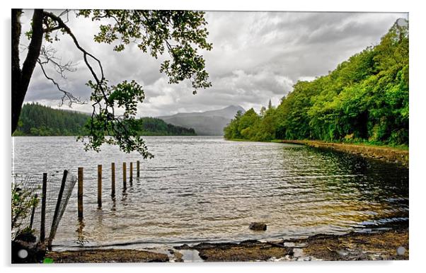 Looking Down Loch Ard Acrylic by Jacqi Elmslie