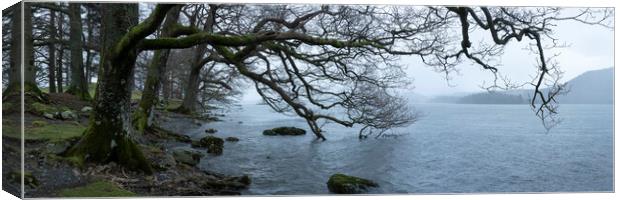 Derwentwater Shore Lake District 2 Canvas Print by Sonny Ryse