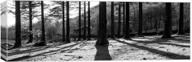 Lake District Woodland Black and white Canvas Print by Sonny Ryse