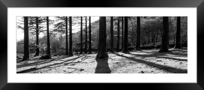 Lake District Woodland Black and white Framed Mounted Print by Sonny Ryse