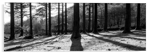 Lake District Woodland Black and white Acrylic by Sonny Ryse