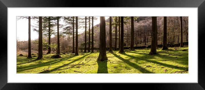 Lake District Woodland Framed Mounted Print by Sonny Ryse