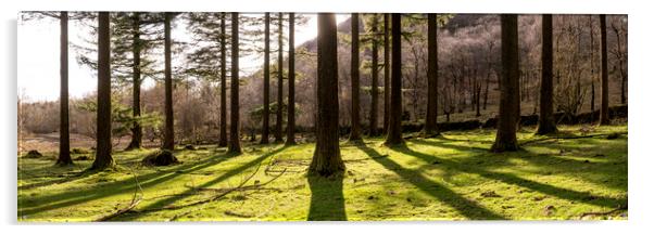Lake District Woodland Acrylic by Sonny Ryse