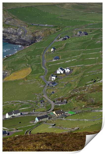 View from above Coumeenole  Print by barbara walsh