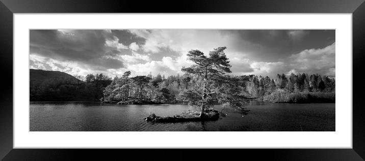 Tarn Hows Tree Black and white Lake District Framed Mounted Print by Sonny Ryse