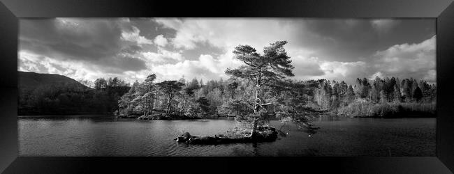 Tarn Hows Tree Black and white Lake District Framed Print by Sonny Ryse