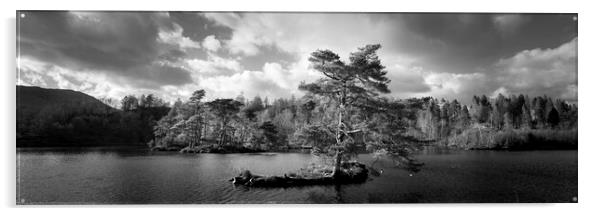 Tarn Hows Tree Black and white Lake District Acrylic by Sonny Ryse