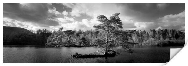 Tarn Hows Tree Black and white Lake District Print by Sonny Ryse