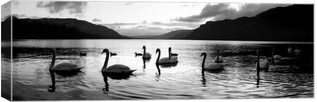 Ullswater Swans Black and White Lake District Canvas Print by Sonny Ryse