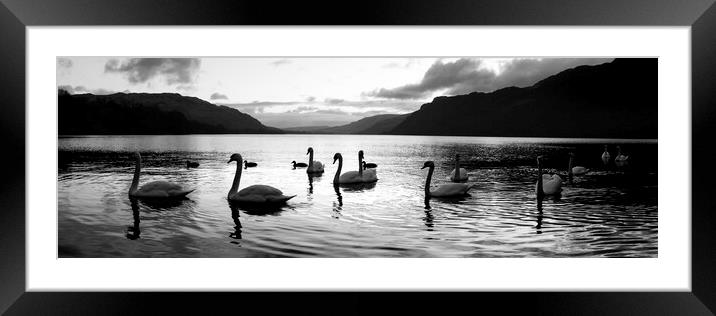 Ullswater Swans Black and White Lake District Framed Mounted Print by Sonny Ryse