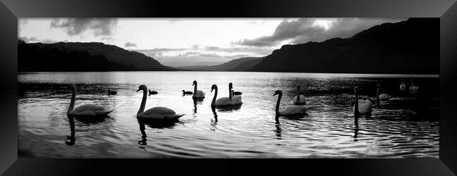 Ullswater Swans Black and White Lake District Framed Print by Sonny Ryse