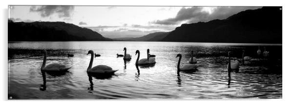 Ullswater Swans Black and White Lake District Acrylic by Sonny Ryse