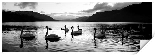 Ullswater Swans Black and White Lake District Print by Sonny Ryse