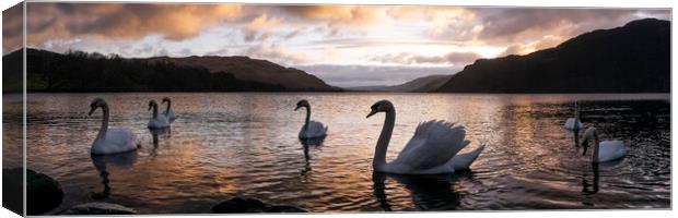Ullswater Swans Sunrise Lake District Canvas Print by Sonny Ryse