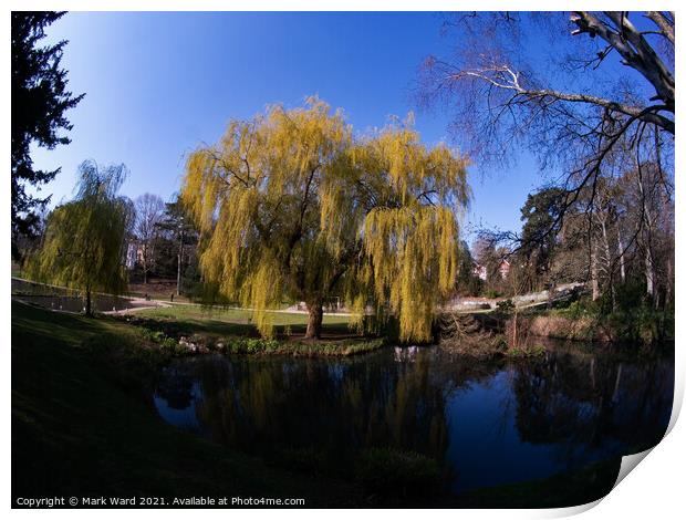 Paradise in a Park Print by Mark Ward