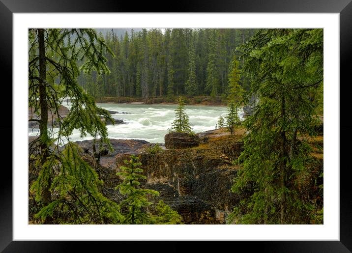 Kicking Horse River, Canada Framed Mounted Print by Mark Llewellyn