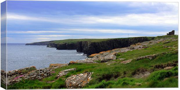Coastline, and castle, Caithness, North Scotland Canvas Print by Linda More