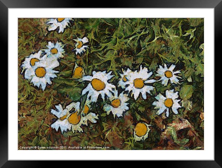 Daisys in Van Gogh Style Framed Mounted Print by Dawn O'Connor