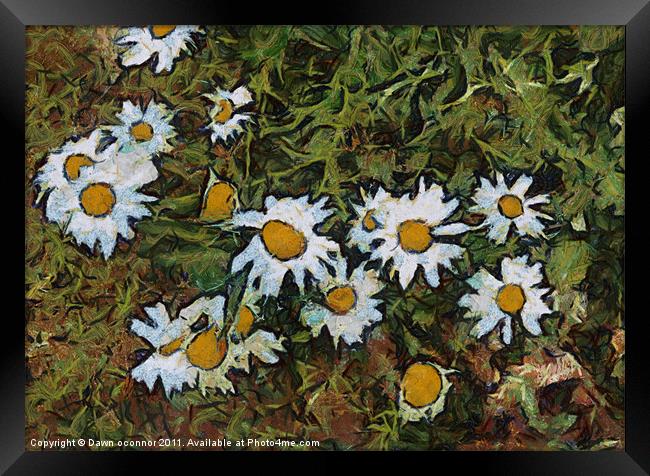 Daisys in Van Gogh Style Framed Print by Dawn O'Connor