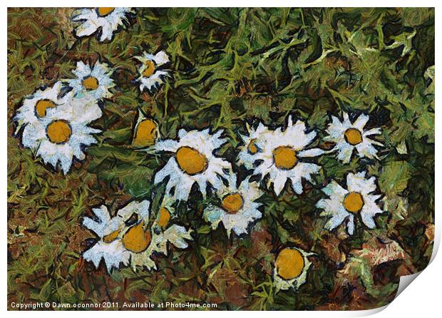 Daisys in Van Gogh Style Print by Dawn O'Connor