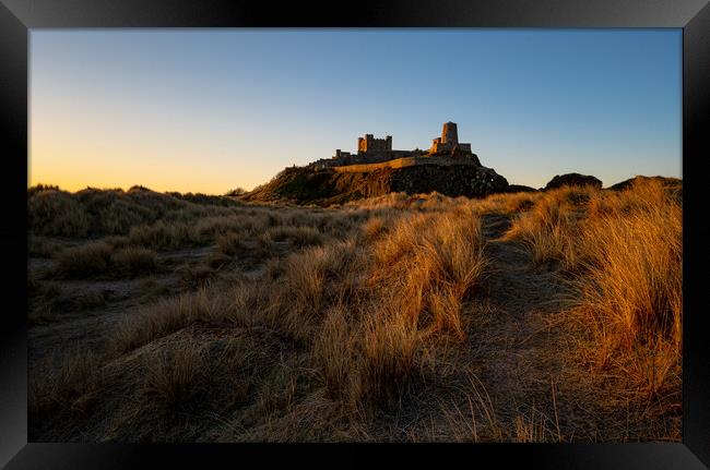 Bamburgh Castle, Northumberland Framed Print by Michael Brookes