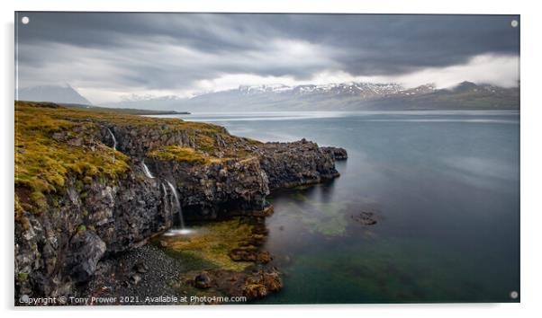 Reydarfjordur  East Coast Acrylic by Tony Prower