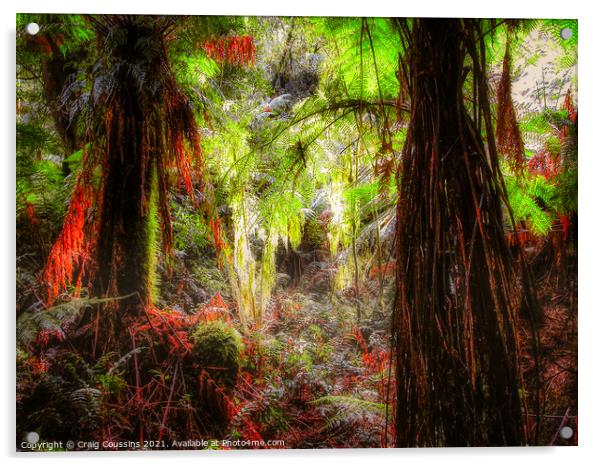 Rain Forest landscape Acrylic by Wall Art by Craig Cusins