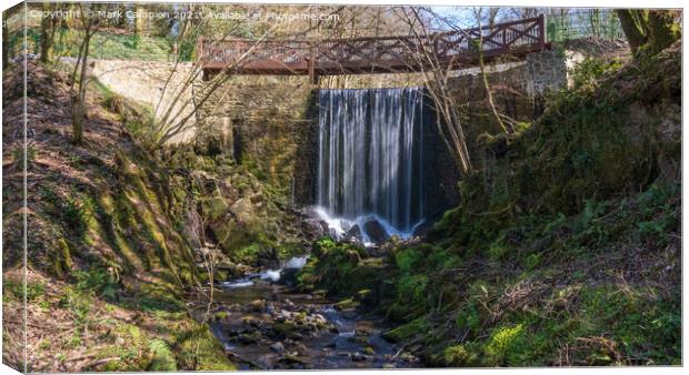National Botanic Garden of Wales Woodland Waterfall  Canvas Print by Mark Campion