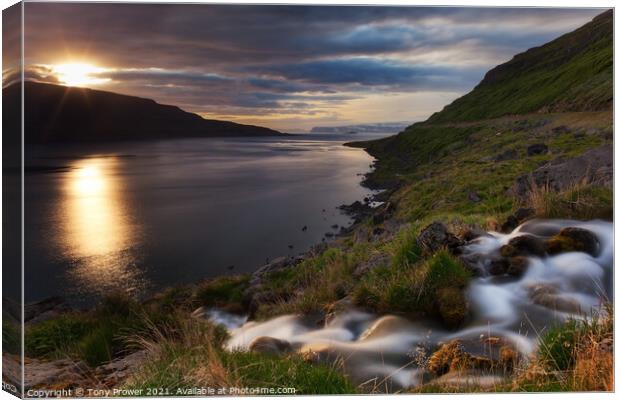 Westfjords Summer Canvas Print by Tony Prower