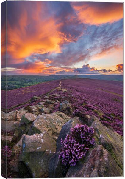 Win Hill purple sunset  Canvas Print by John Finney