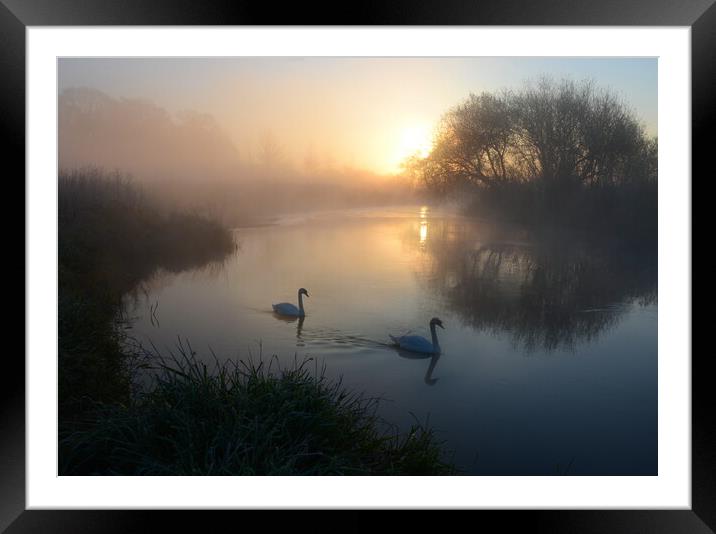 The Dorset Stour Framed Mounted Print by David Neighbour