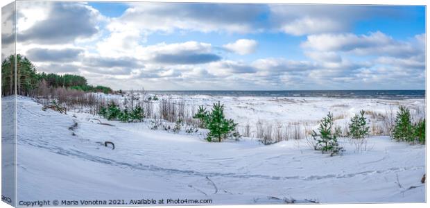 Snowy Baltic sea coast Canvas Print by Maria Vonotna