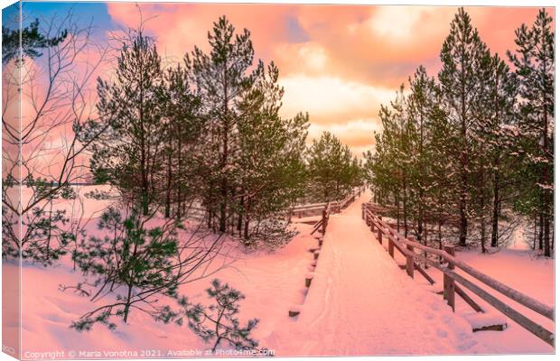 Sunset over trail in pine forest Canvas Print by Maria Vonotna