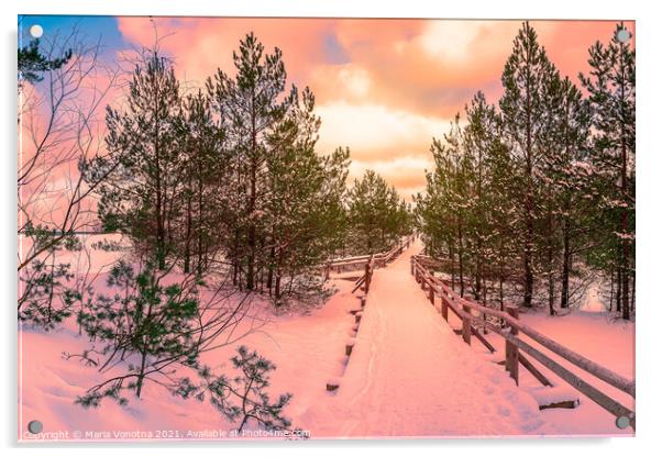 Sunset over trail in pine forest Acrylic by Maria Vonotna
