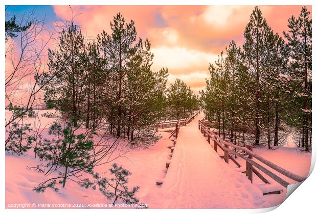 Sunset over trail in pine forest Print by Maria Vonotna