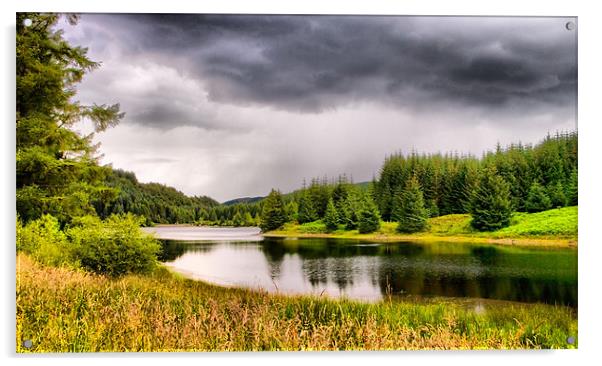 Loch Drunkie Acrylic by Jacqi Elmslie
