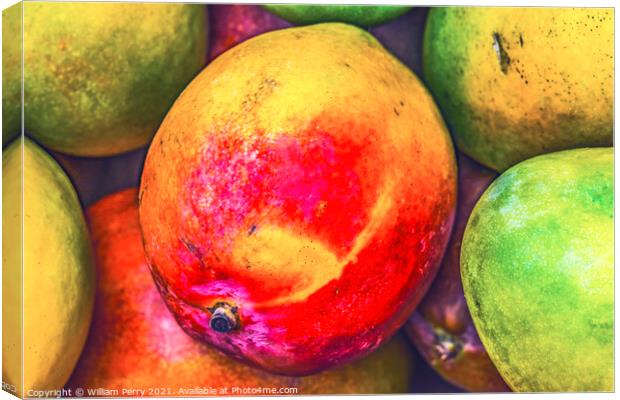 Yellow Red Orange Mangos Florida Canvas Print by William Perry