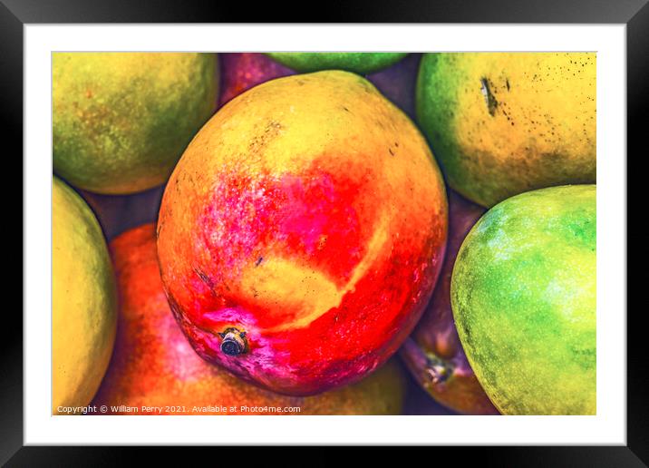 Yellow Red Orange Mangos Florida Framed Mounted Print by William Perry