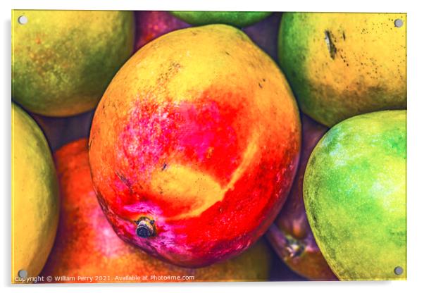 Yellow Red Orange Mangos Florida Acrylic by William Perry