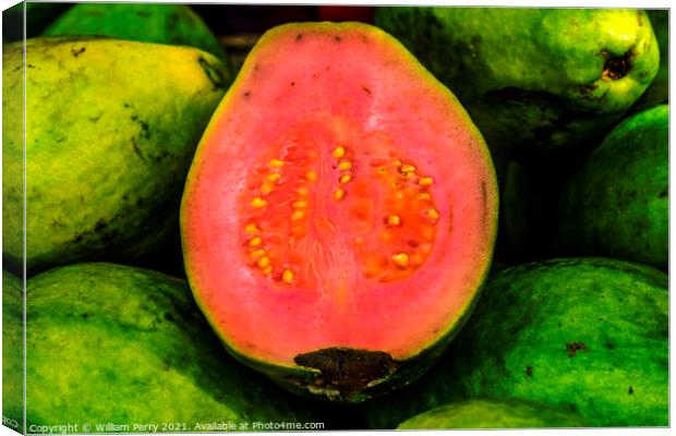 Green Pink Ruby Supreme Guavas Florida Canvas Print by William Perry
