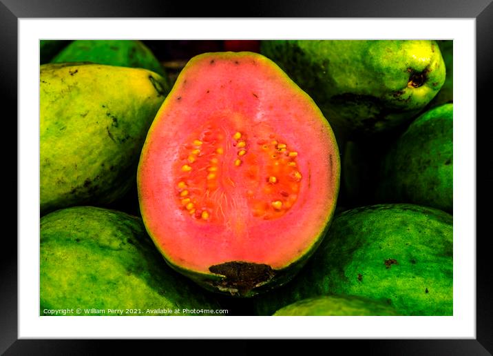 Green Pink Ruby Supreme Guavas Florida Framed Mounted Print by William Perry
