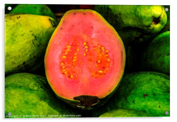 Green Pink Ruby Supreme Guavas Florida Acrylic by William Perry